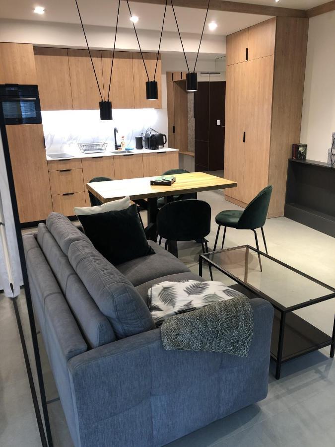 Apartament Lena Stare Miasto 克拉科夫 外观 照片